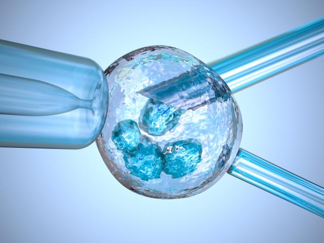 Srbija: Embrioni "siroèiæi" æe moæi da se poklanjaju